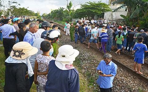 công ty bảo vệ Đất Việt