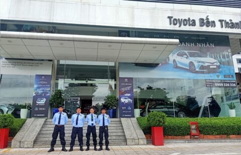 Dịch vụ bảo vệ văn phòng chuyên nghiệp, hỗ trợ 24/7 tại Bảo Vệ Đất Việt